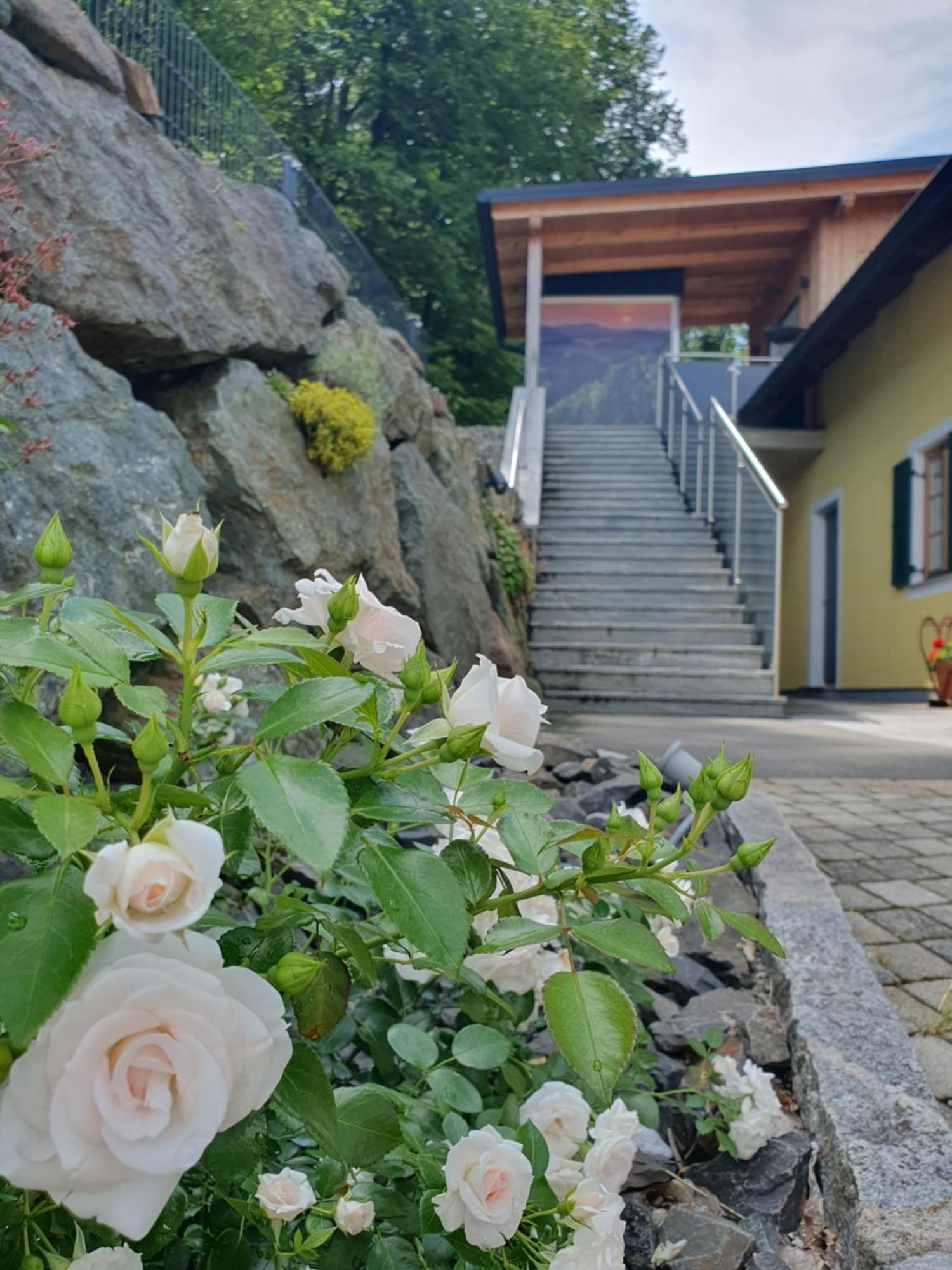 Appartement Weingut Pugl à Leibnitz Extérieur photo